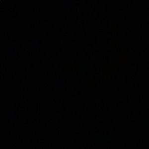 Meet your Posher, Kalia shana ann